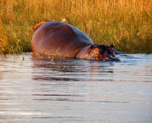 Botswana © Nadine Jones