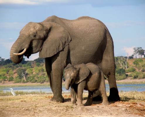 Botswana © Nadine Jones
