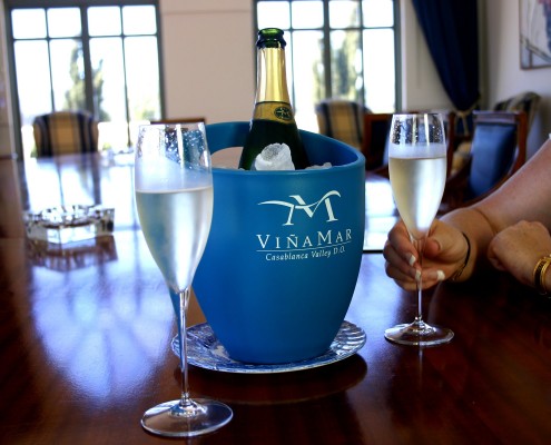 Casablanca Valley - Chile © Trevor Jones