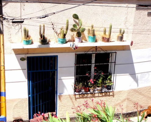 Chile © Trevor Jones