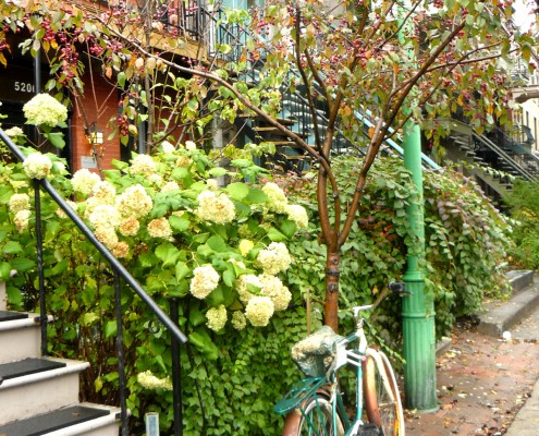 Montreal © Charlotte Routier