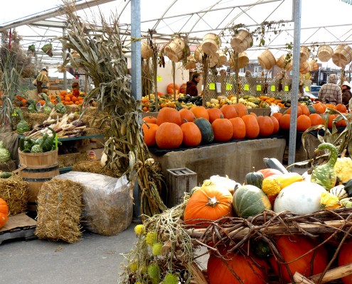 Montreal © Charlotte Routier