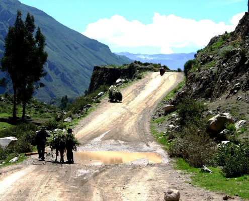Peru © Trevor Jones