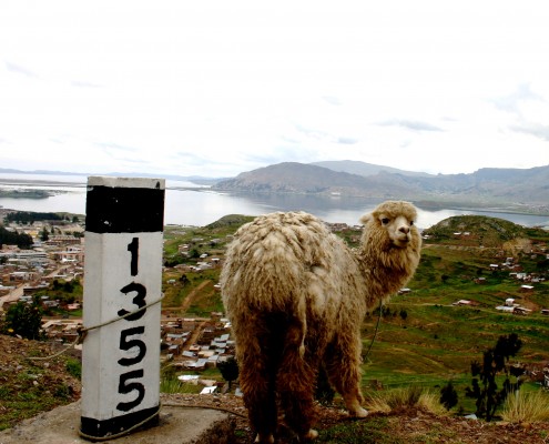 Peru © Trevor Jones
