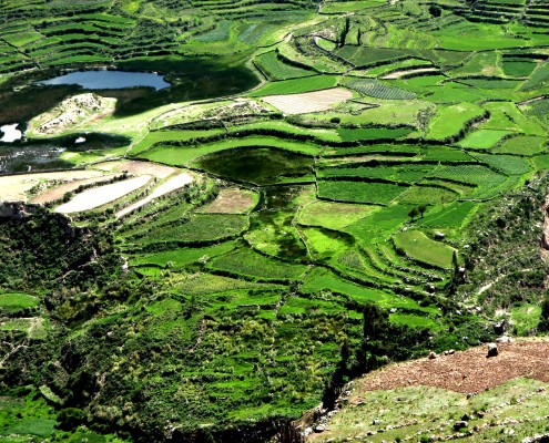 Peru © Trevor Jones