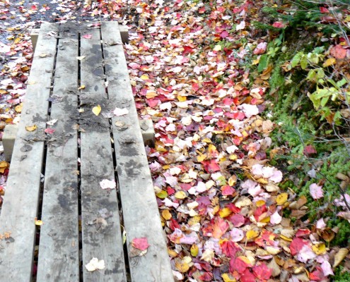 Quebec © Charlotte Routier