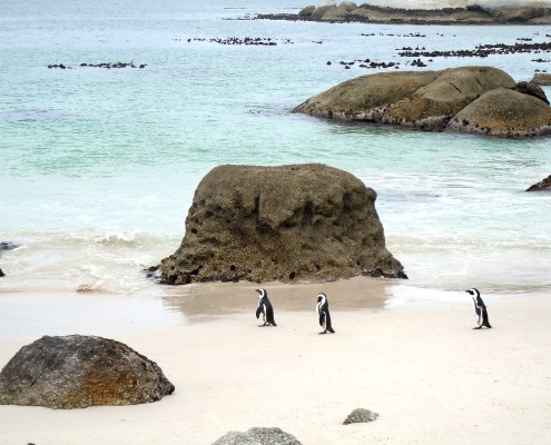 South Africa © Nadine Jones