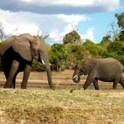 SOUTH AFRICA © Nadine Jones